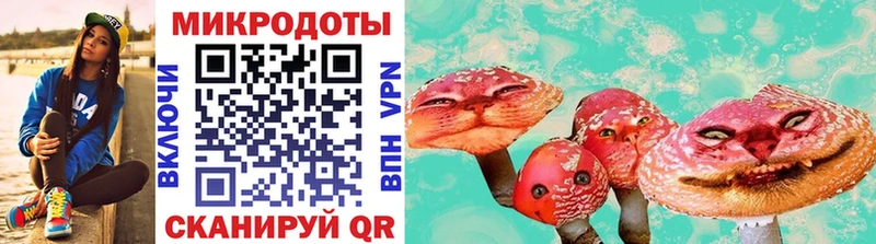 даркнет телеграм  Катайск  Псилоцибиновые грибы GOLDEN TEACHER 